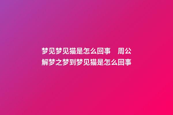 梦见梦见猫是怎么回事　周公解梦之梦到梦见猫是怎么回事